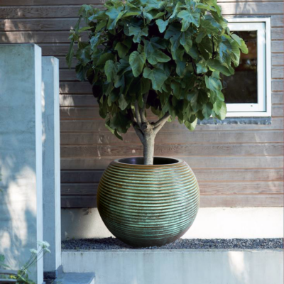 Heritage Pots - donica Marocco