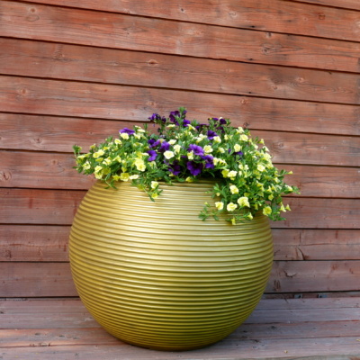 Marocco złoty polerowany mosiądz