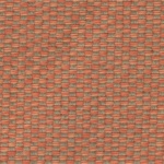 Bruma Coral