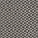 Lopi Charcoal